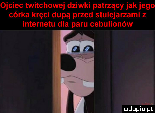 ojciec twitchowej dziwki patrzący jak jego córka kręci dupą przed stulejarzami z internetu dla paru cebulionów ihs