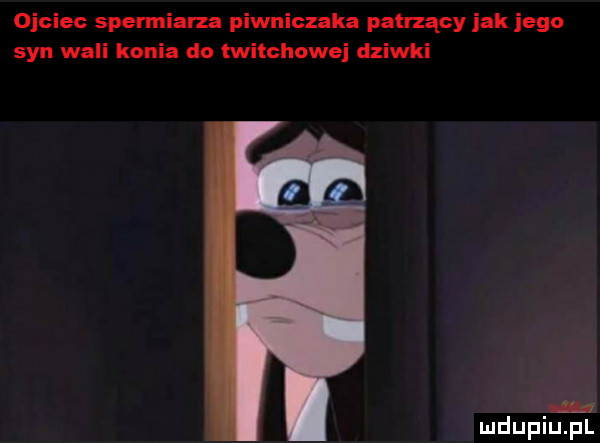 ojciec spermialza piwniczaka patrzący jak ingo syn wali konia do twitchowej dziwki