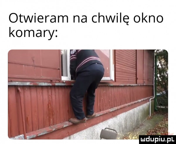 otwieram na chwilę okno mhupiupl