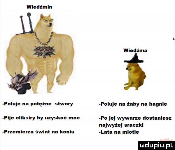 wiedźmin wi dama i nlule m. mętne stwory folcie na by na bagnie i ile ellkslry by uzyskać me fo ibj wow rze desc niesz najwyżej suczki rnemleru sun t. koelu l h nn miodle