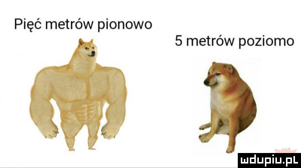 pięć metrów pionowo   metrów poziomo