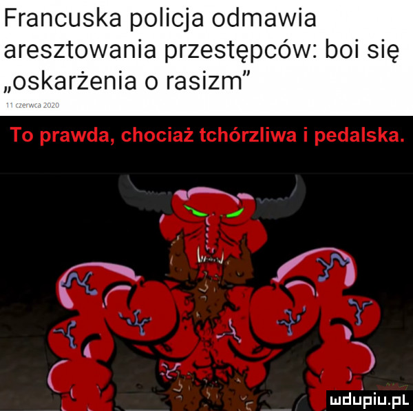 francuska policja odmawia aresztowania przestępców boi się oskarżenia o rasizm x