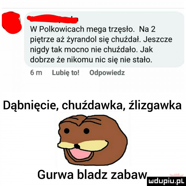 w polkowicach mega trzęsło. na   piętrze aż żyrandol się chuźdai. jeszcze nigdy tak mocno nie chuźdało. jak dobrze że nikomu nic się nie stało.  m lubiewo odpowiedz dąbnięcie chuźdawka źiizgawka guawa bladz zabaw