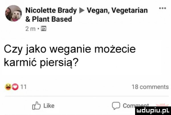 nicolette brady vegan vegetarian plant based   m e czy jako weganie możecie karmić piersią o h    comments ke c