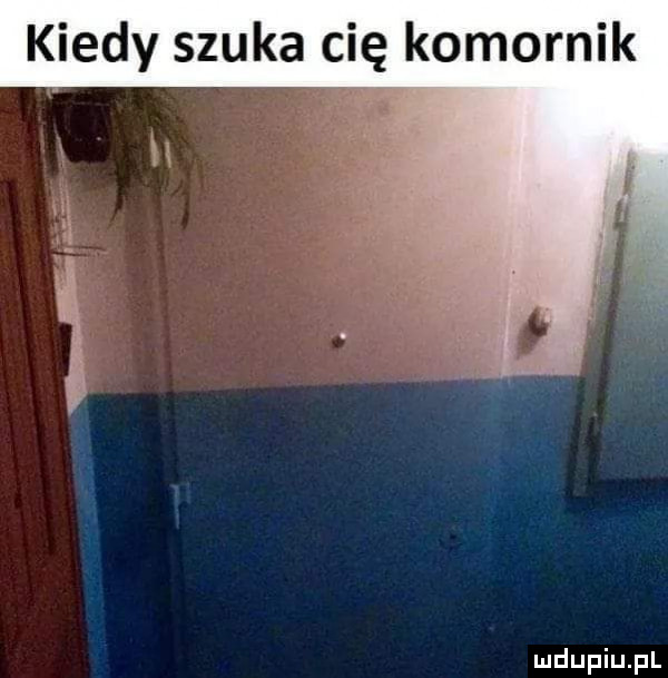 kiedy szuka cię komornik