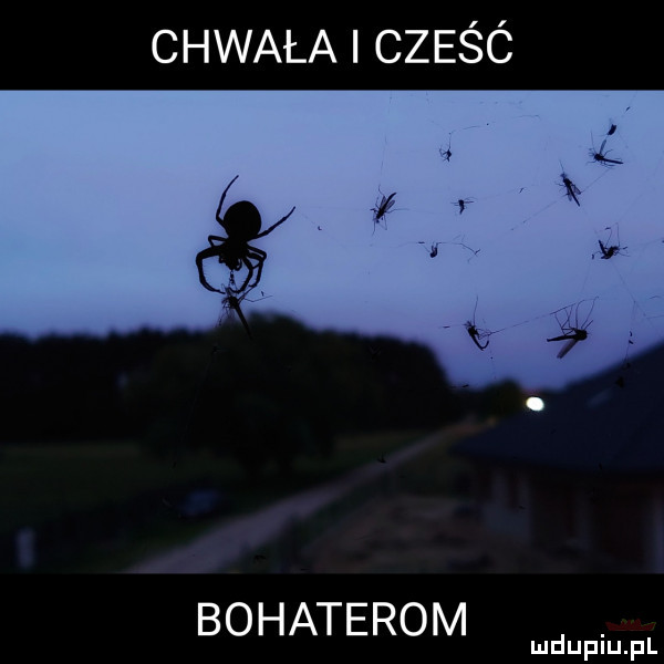 chwała cześó bohaterom