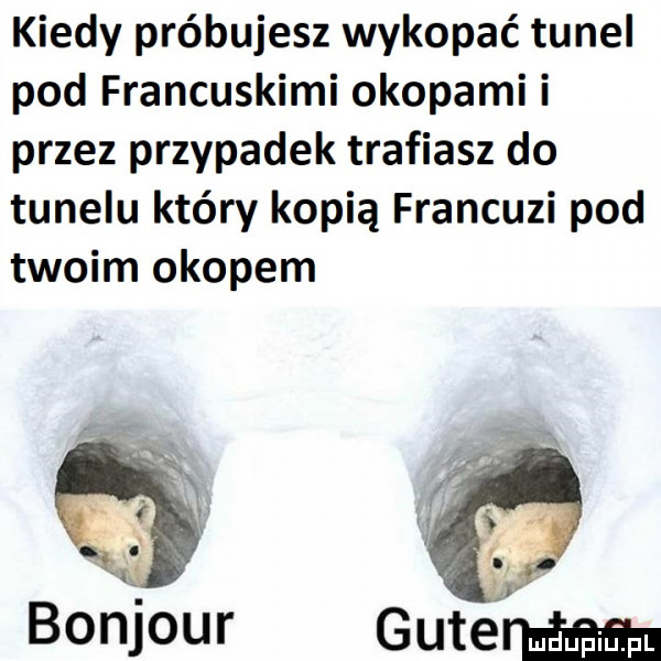 kiedy próbujesz wykopać tunel pod francuskimi okopami i przez przypadek trafiasz do tunelu który kopią francuzi pod twoim okopem