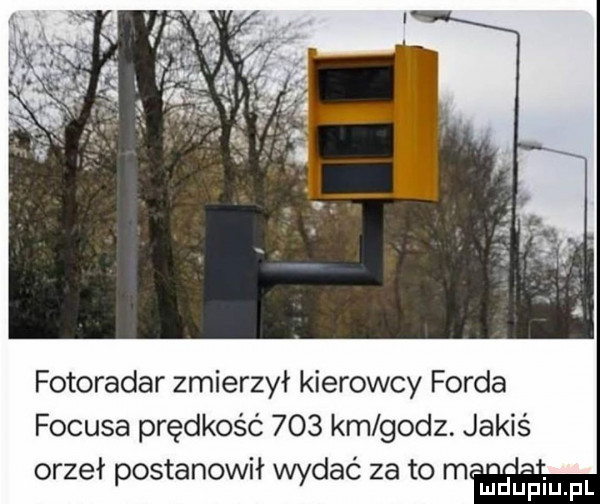 fotoradar zmierzył kierowcy forda focusa prędkość     km godz. jakiś orzeł postanowił wydac za to mrjju fmfl