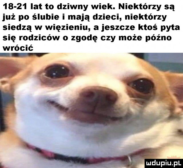 lat to dziwny wiek. niektórzy są już po ślubie i mają dzieci niektórzy siedzą w więzieniu a jeszcze ktoś pyta się rodziców o zgodę czy może późno wrócić