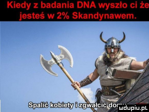 kiedy z badania dna wyszło ci ż jesteś   skandynawem