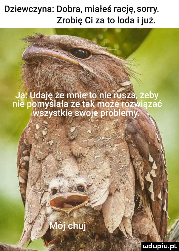 dziewczyna dobra miałeś rację sorry. zrobię ci za to loda ijuz. ję udaję że mniétosme ruszt żeby nie pomyślała że tak męże wszystkie swoje oble