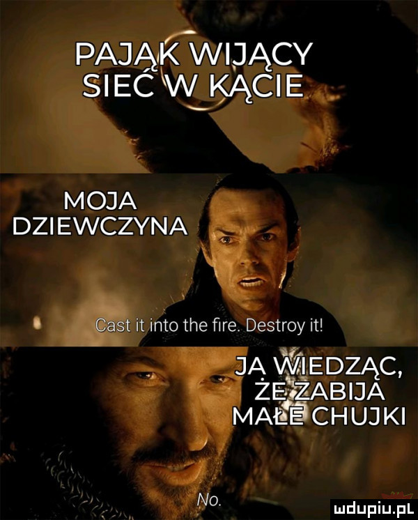 pająk wrący sieć kw kącie moja dziewczyna i s i qest it imo tee ﬁre. destroy it ja. me dmąc zepizabija maeechujki no