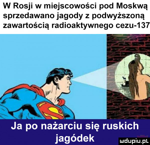 w rosji w miejscowości pod moskwą sprzedawano jagody z podwyższoną zawartością radioaktywnego cezu     ja po nażarciu się ruskich jagódek