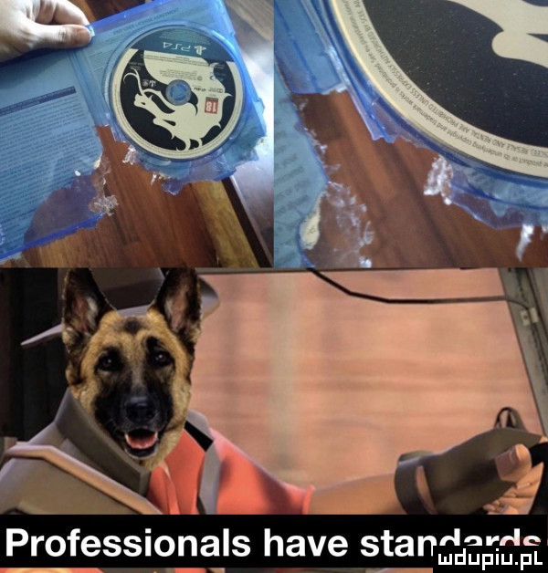 professionals hace stands