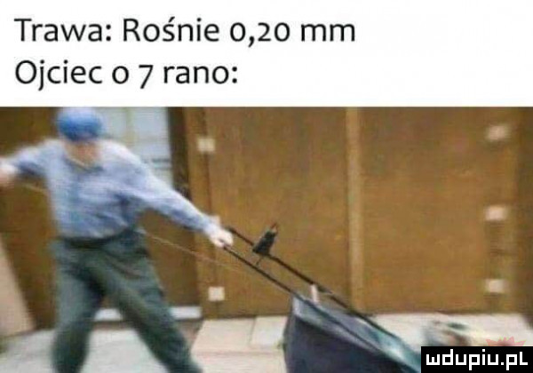 trawa rośnie      mm ojciec o   rano l. m dupiupl