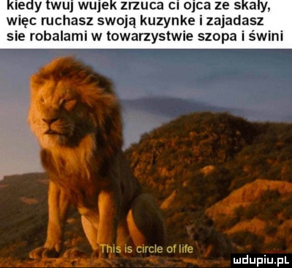 więc ruchasz swoją kuzynke i zajadasz sie robalami w towarzystwie szopa i świni j ibis cercle of lice