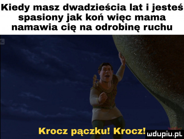 kiedy masz dwadzieścia lat ijesteś spasiony jak koń więc mama namawia cię na odrobinę ruchu krocz pączku krocz d pi fl