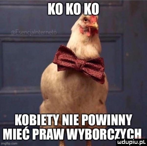 a kwh a. qii w kobiety icie piiwiiiiiy minii praw wybiiiigiviiii