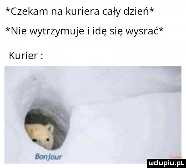 czekam na kuriera cały dzień nie wytrzymuje i idę się wysrać kurier ludu iu. l