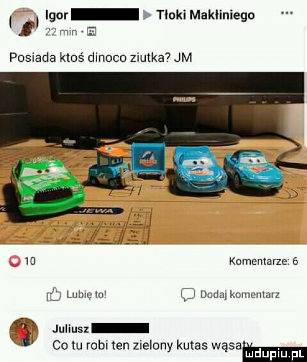 igor f tlokimakﬁniego l mm e posiada ktoś dinoco ziutka jm    komentarze   i law w l dodaj komemarz juliusz co tu robi ten zielony kutas wąsaammm