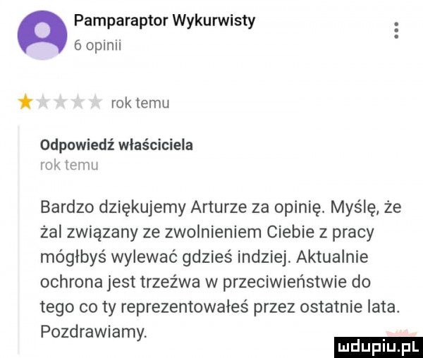 pamparaptor wykurwisty   opinii rok temu odpowiedź właściciela rok temu bardzo dziękujemy arturze za opinię. myślę że żal związany ze zwolnieniem ciebie z pracy mógłbyś wylewać gdzieś indziej aktualnie ochrona jest trzeźwa w przeciwieństwie do tego co ty reprezentowałeś przez ostatnie lata pozdrawiamy