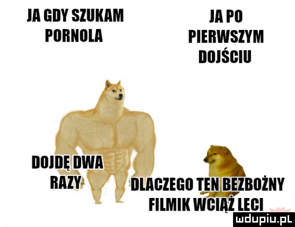 iii giby sllliiiiiii iii p  piiiiiiiiiii pierwszym brisé iiuiiię iiwii bmw iiuigiego teki iii      filmik wgiiiż legi