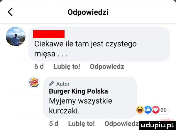 odpowiedzi i ciekawe ile tam jest czystego mięsa. abakankami.   d lubię to odpowiedz amor burger king polska myjemy wszystkie kurczaki.      sd lunięto odpowiedz