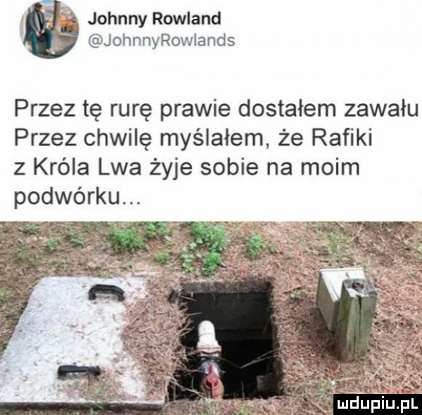 la johnny rolland johnnyrowłands przez tę rurę prawie dostałem zawału przez chwilę myślałem że rawiki z króla lwa żyje sobie na moim podwórku