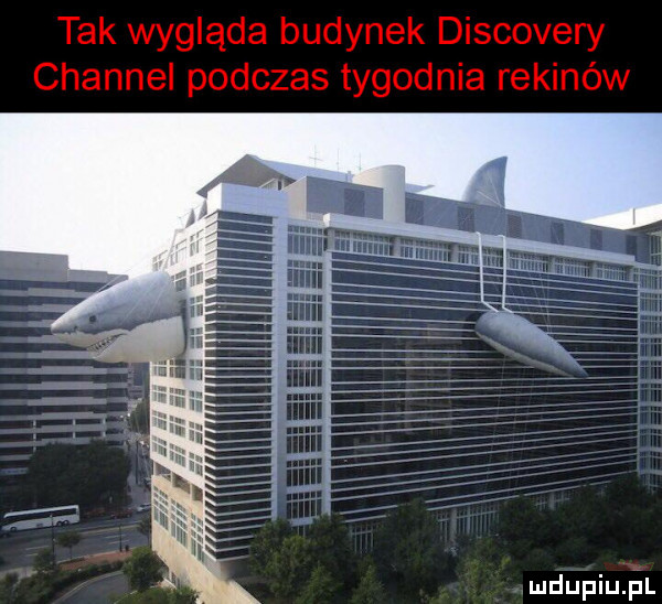 mmmwumaa