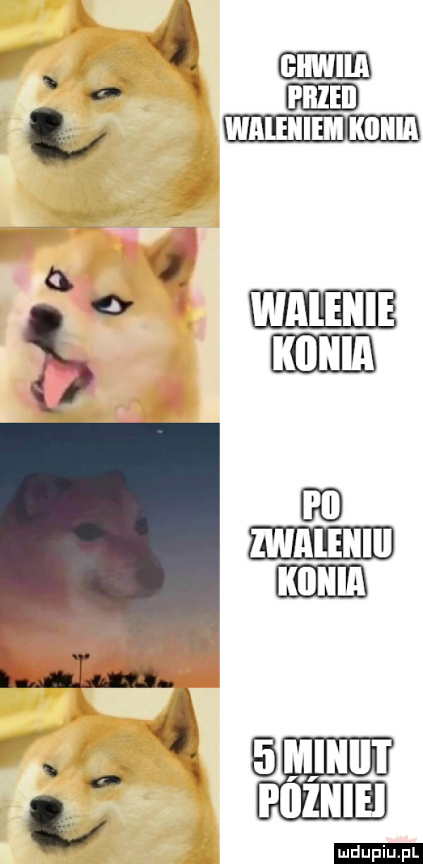 z waleiiie m ą