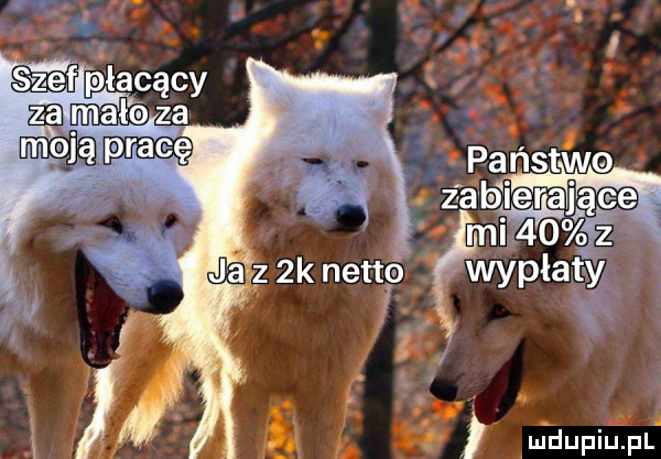 państw ma. zca ierająee miao żeż i wypłaty