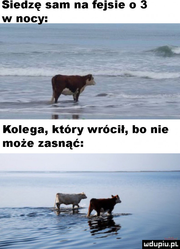 siedzę sam na fejsie o   w nocy. abakankami x ś kolega który wrócił bo nie może zasnąć