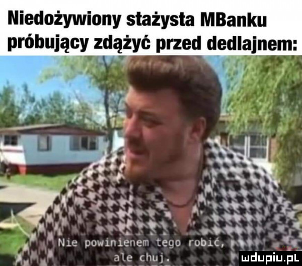 niedożywiony stażysta mbanku próbujący zdążyć przed dedlainem fff. abakankami. c n l x i x a. t v. r i. ł n p qq o. ł jf i ici ct qł  i ą   q vq i ma pwsm ve zew uac nv  . abakankami ale um