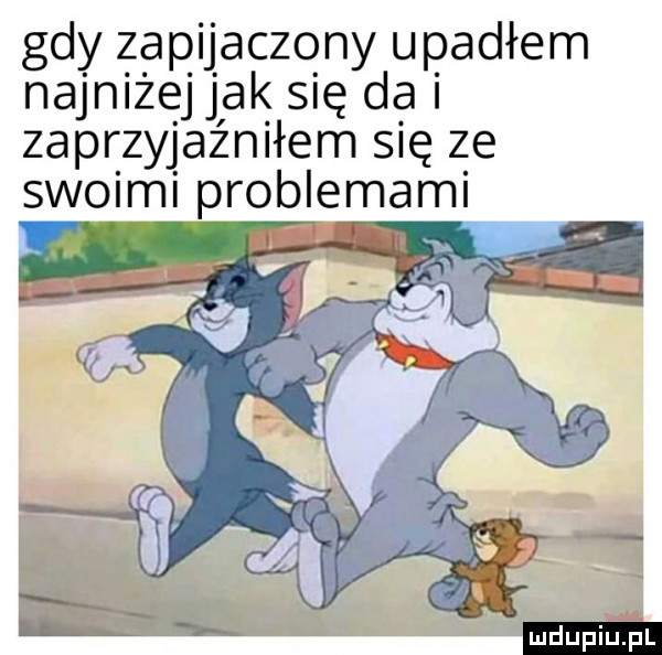 gdy zapijaczony upadłem najniżej jak się da i zaprzyjaźniłem się ze swoimi problemami