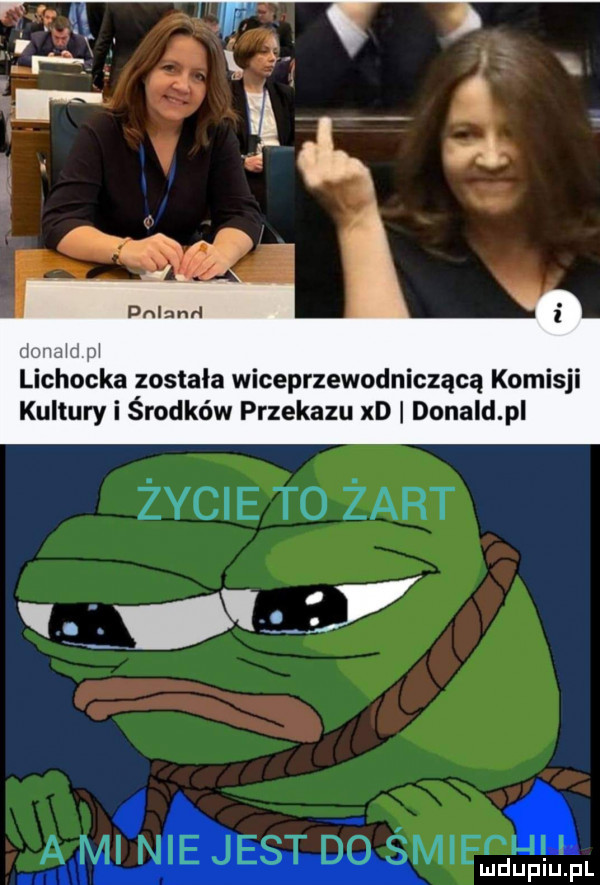 lichocka została wiceprzewodniczącą komisji kultury i środków przekazu xd donald pl życie to żart ł y anuś ąm ełł