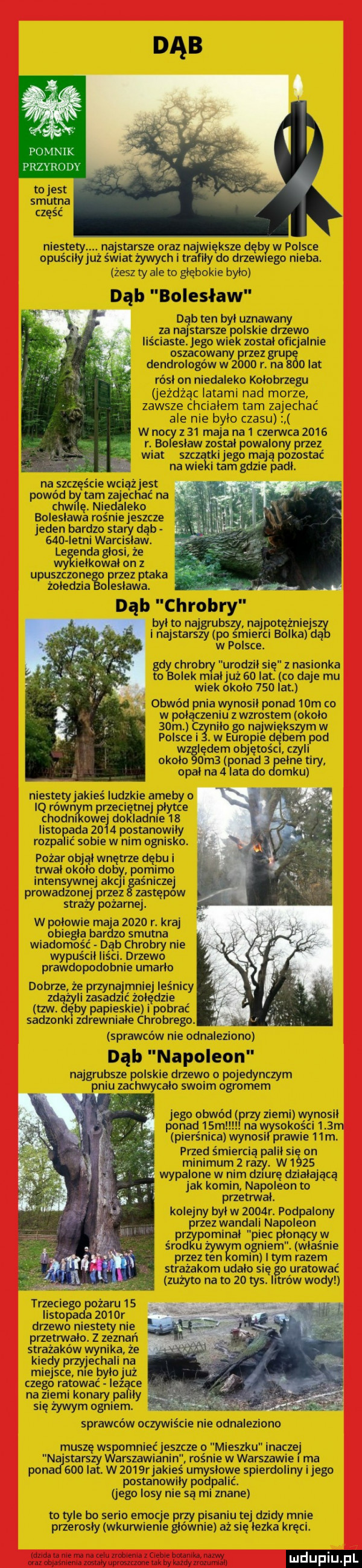 pomnik przyrody