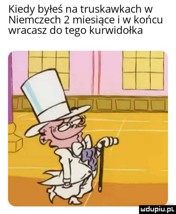 kiedy byłeś na truskawkach w niemczech   miesiące i w końcu wracasz do tego kurwidołka ludu iu. l