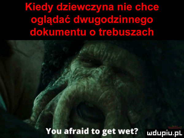 kiedy dziewczyna nie chce oglądać dwugodzinnego dokumentu o trebuszach wid. i y śafrald to wet ludupiu il