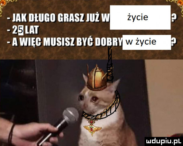 jak ilłlllill ems iiiż ibl ei   la i a wm musisz live now   mdupiusz