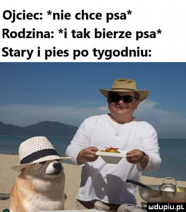 ojciec nie chce psa rodzina i tak bierze psa stary i pies po tygodniu w