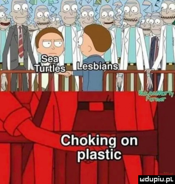 ę se turtles lesbiansi m l mllmw choking on plastic