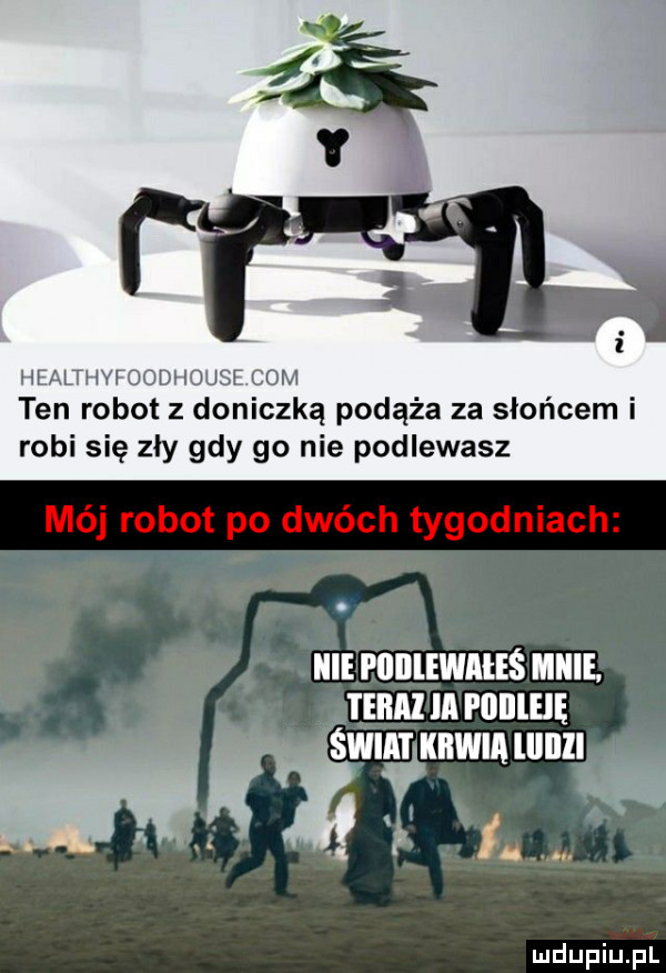 healthvmfoodhou ten robot z don złą podąża za słońcem i robi się zły gdy go nie podlewasz ulimnliwnłis mat mm mm sci kicia lllllll ł