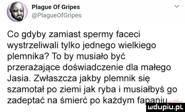 plaqué oi gripes v plagueofanes co gdyby zamiast spermy faceci wystrzeliwali tylko jednego wielkiego plemnika to by musiało być przerażające doświadczenie dla małego jasia. zwłaszcza jakby plemnik się szamotał po ziemi jak ryba i musiałbyś go zadeptać na śmierć po każdym fa