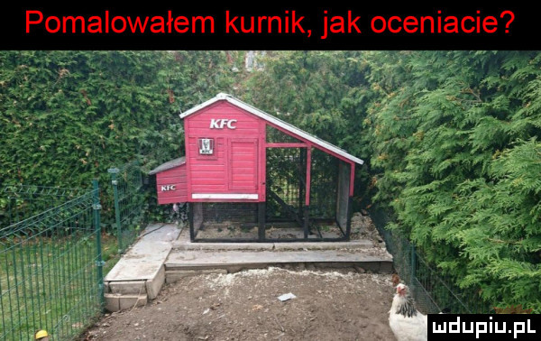 pomalowałem kurnik jak oceniacie lidupiliąil