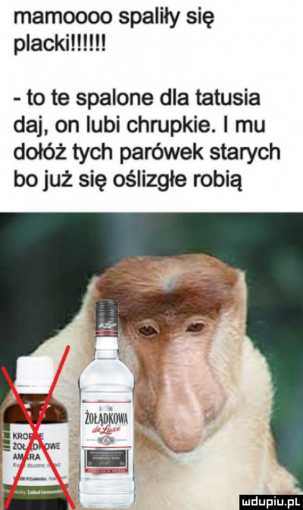 mamoooo spaliły się to te spalone dla tatusia daj on lubi chrupkie. i mu dołóż tych parówek starych bo już się oślizgłe robią l i żo ołądkowa fa i i i i m     r ijjn ą ludu iu. l