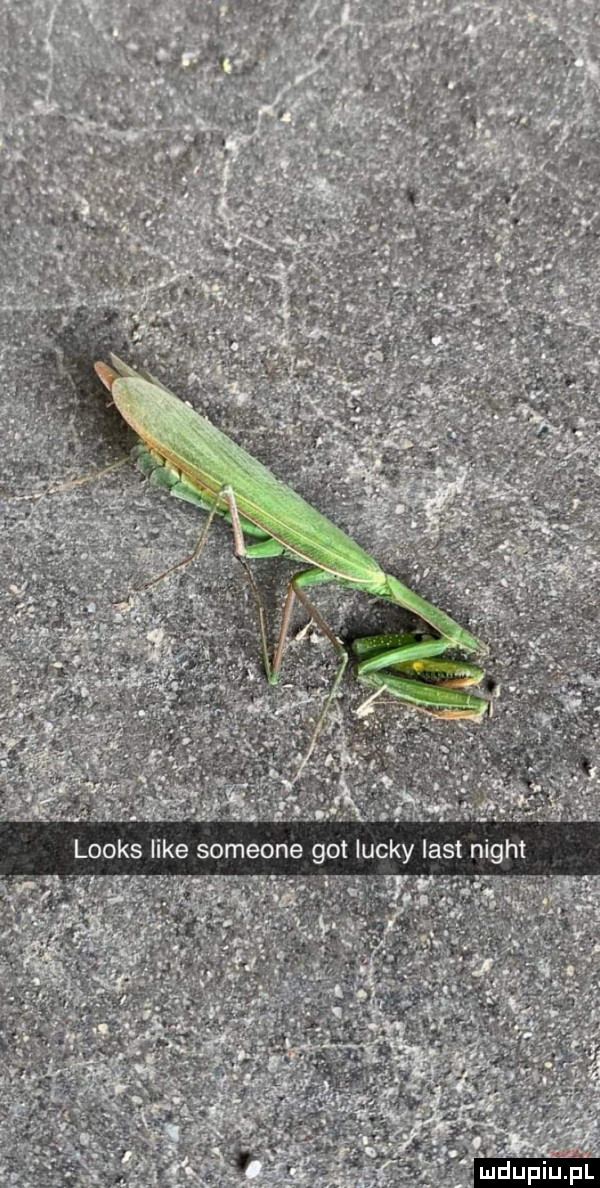 looks like someone got lucky list night
