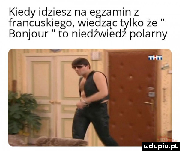 kiedy idziesz na egzamin z francuskiego wiedząc tylko że bonjour to niedźwiedz polarny