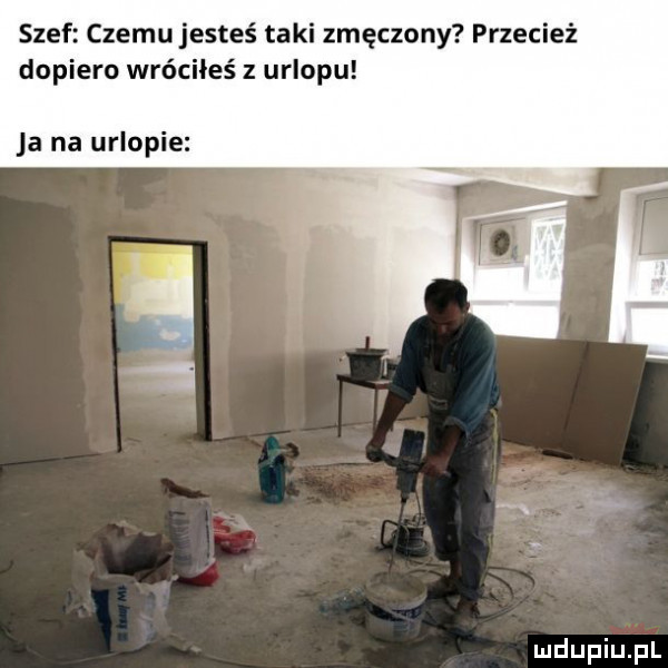 szef czemu jesteś taki zmęczony przecież dopiero wróciłeś z urlopu ja na urlopie
