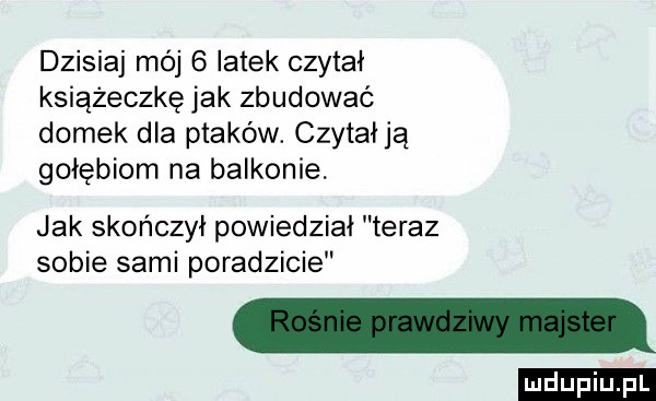 dzisiaj mój   latek czytał książeczkę jak zbudować domek dla ptaków. czytałją gołębiem na balkonie jak skończył powiedział teraz sobie sami poradzicie ludu iu. l