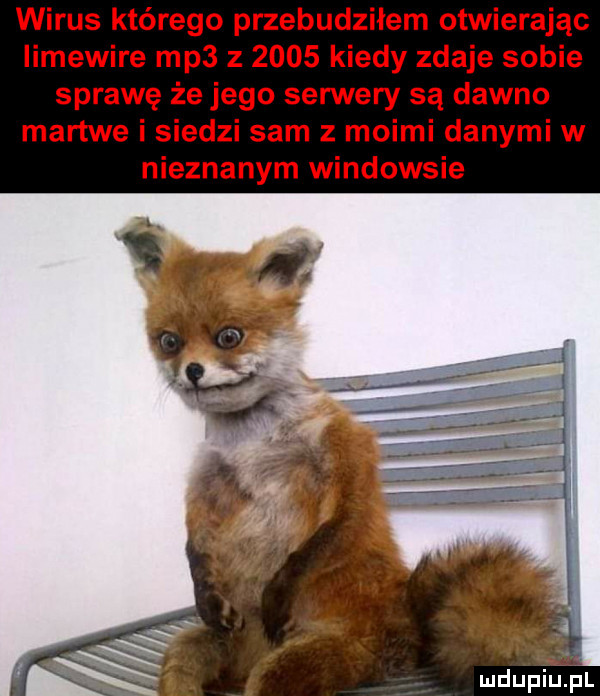 wirus którego przebudziłem otwierając iimewire mp  z      kiedy zdaje sobie sprawę że jego serwery są dawno martwe i siedzi sam z moimi danymi w nieznanym windowsie